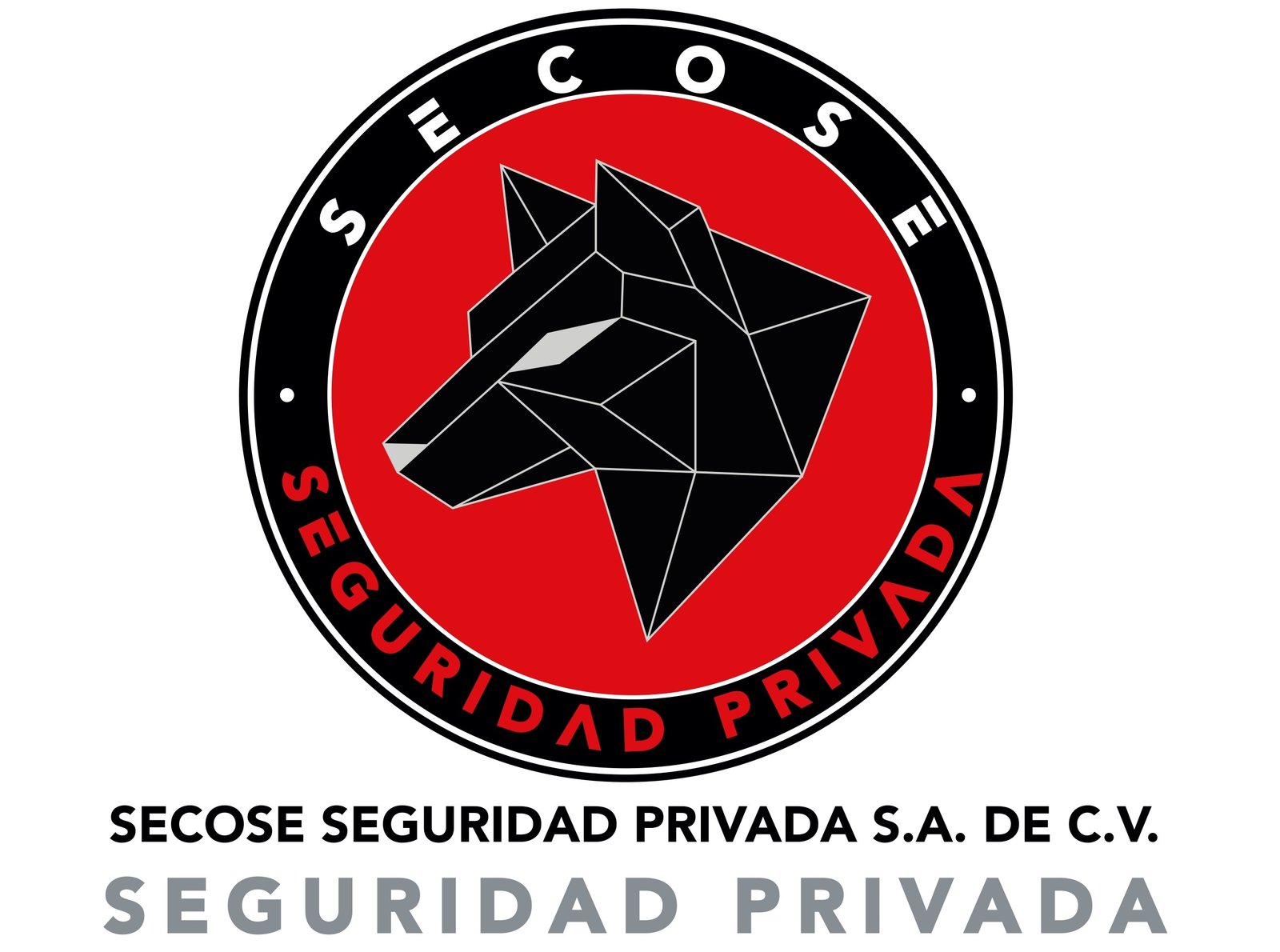 SECOSE Seguridad